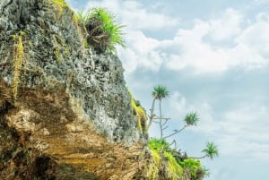 Zanzibar : Secret Beach, Kuza Cave and Jozani with transfer