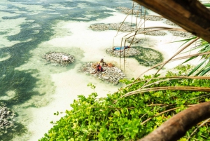 Zanzibar : Secret Beach, Kuza Cave and Jozani with transfer