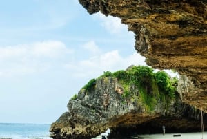 Zanzibar : Secret Beach, Kuza Cave and Jozani with transfer