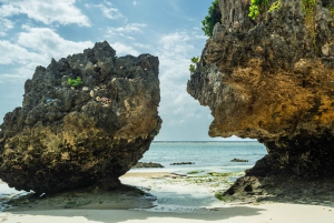Zanzibar : Secret Beach, Kuza Cave and Jozani with transfer
