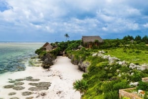 Zanzibar : Secret Beach, Kuza Cave and Jozani with transfer