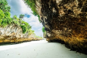 Zanzibar : Secret Beach, Kuza Cave and Jozani with transfer