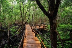 Zanzibar : Secret Beach, Kuza Cave and Jozani with transfer