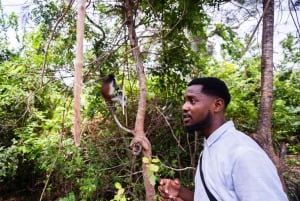 Zanzibar : Secret Beach, Kuza Cave and Jozani with transfer