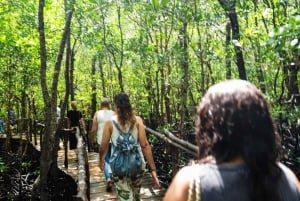 Zanzibar : Secret Beach, Kuza Cave and Jozani with transfer