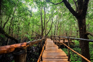 Zanzibar : Secret Beach, Kuza Cave and Jozani with transfer