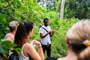 Zanzibar : Secret Beach, Kuza Cave and Jozani with transfer