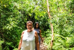 Zanzibar : Secret Beach, Kuza Cave and Jozani with transfer