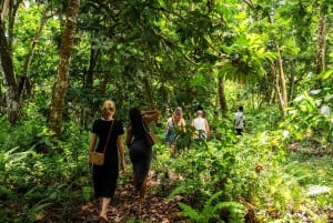 Zanzibar : Secret Beach, Kuza Cave and Jozani with transfer