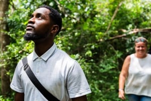 Zanzibar : Secret Beach, Kuza Cave and Jozani with transfer