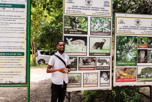 Zanzibar : Secret Beach, Kuza Cave and Jozani with transfer