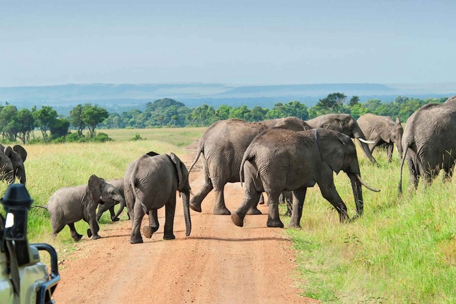 Selous Game Reserve (Nyerere Np) Päiväretki Sansibarilta