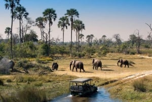 Viagem de 1 dia para a Selous Game Reserve (Nyerere Np) saindo de Zanzibar