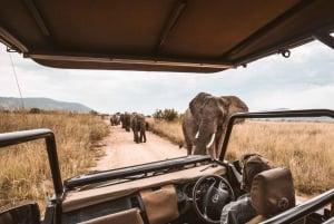 Selous Game Reserve (Nyerere Np) 1-dniowa wycieczka z Zanzibaru
