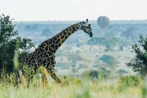 Serengeti: 3-Day Migration Safari with Hot Air Balloon Ride