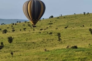 Serengeti: 3-Day Migration Safari with Hot Air Balloon Ride