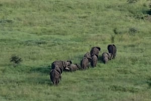 Serengeti: 3-Day Migration Safari with Hot Air Balloon Ride