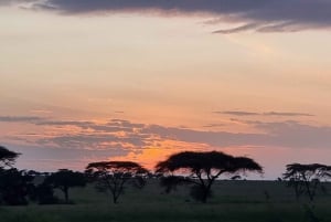 Serengeti: 3-Day Migration Safari with Hot Air Balloon Ride