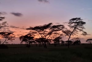 Serengeti: 3-Day Migration Safari with Hot Air Balloon Ride