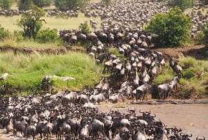 Serengeti et Ngorongoro : Safari en camping de 2 nuits et 3 jours