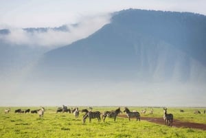 Serengeti e Ngorongoro: Safari de acampamento de 2 noites e 3 dias