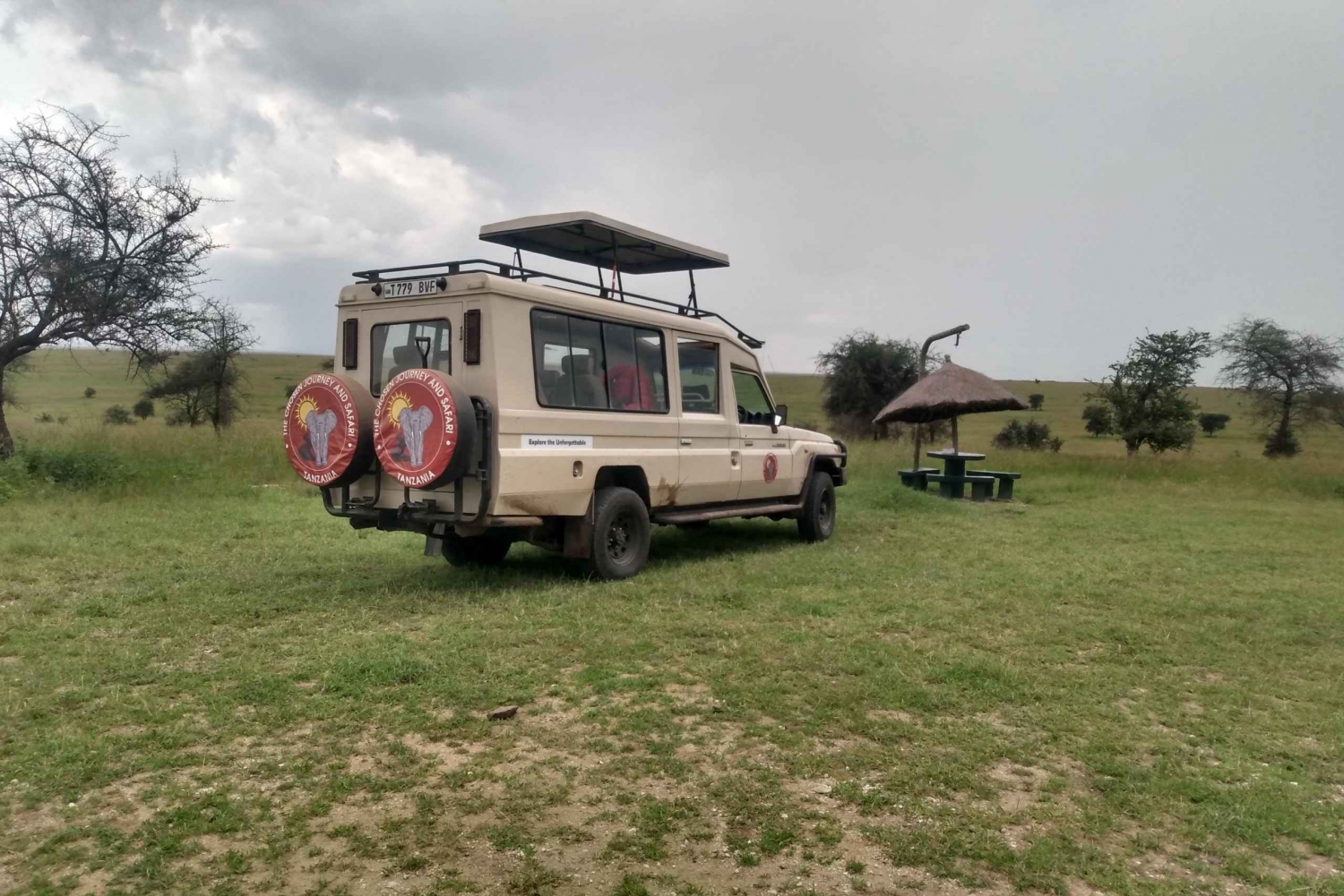 Safari i Serengeti och Ngorongoro