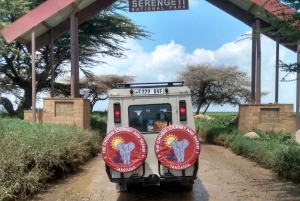 Safári no Serengeti e em Ngorongoro