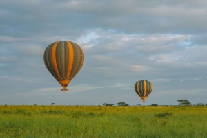 Tarangire: Balloon Safari and Bush Breakfast
