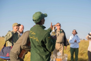 Tarangire: Balloon Safari and Bush Breakfast