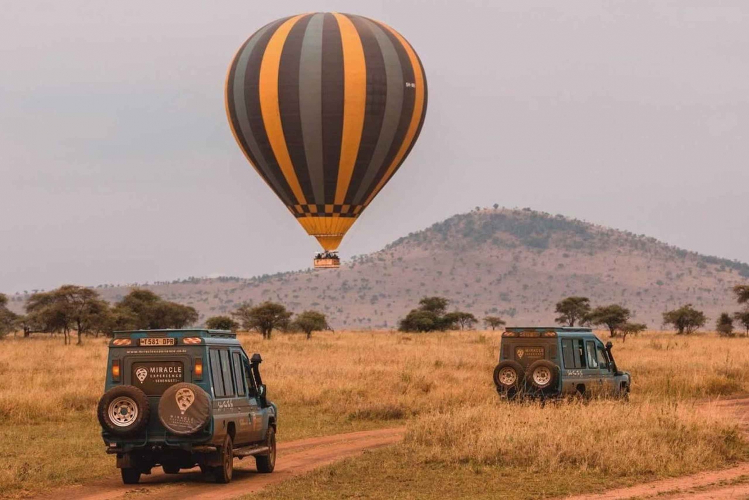 Safári de balão no Serengeti e café da manhã na mata