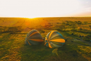 Serengeti: Balloon Safari and Bush Breakfast