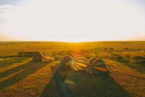 Serengeti : safari en montgolfière et petit-déjeuner dans la brousse