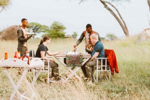 Serengeti: safári de balão e café da manhã no mato