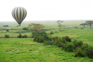 Serengeti Balloon Safari and Bush Breakfast