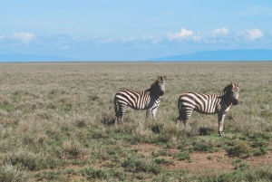 Serengeti-dagtripsafari vanuit Mwanza