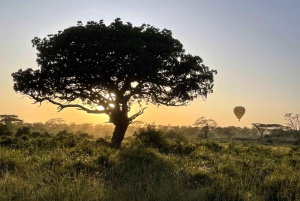 Serengeti: Exclusive Balloon Safari