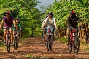 Serengeti : safari de 4 jours et 3 nuits avec transfert en avion