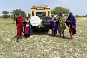 Serengeti : safari de 4 jours et 3 nuits avec transfert en avion