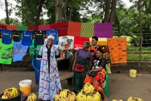 Serengeti : safari de 4 jours et 3 nuits avec transfert en avion