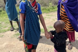 Serengeti : safari de 4 jours et 3 nuits avec transfert en avion