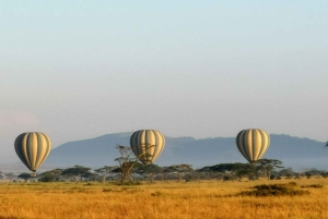 Serengeti: Voo de balão de ar quente com pequeno-almoço com champanhe