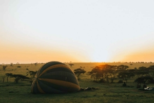 Serengeti: Voo de balão de ar quente com pequeno-almoço com champanhe