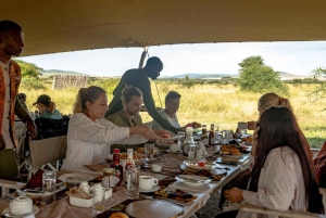 Serengeti: Voo de balão de ar quente com pequeno-almoço com champanhe
