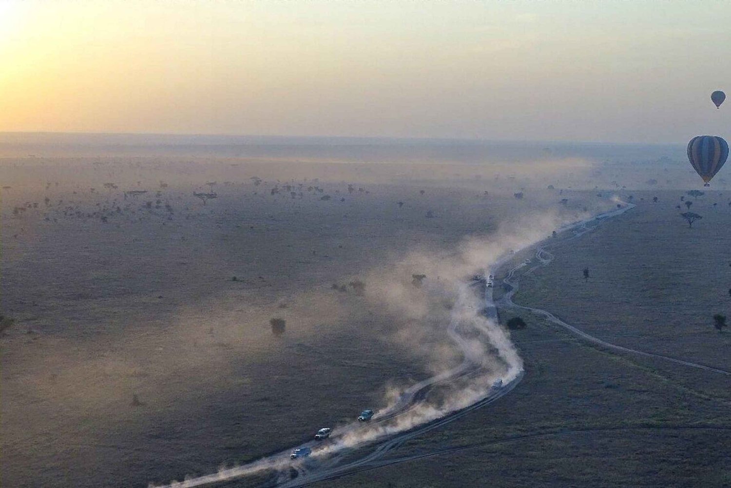 Serengueti: safari en globo aerostático con desayuno y recogida