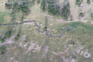 Serengeti: kuumailmapallosafari aamiaisella ja noudolla