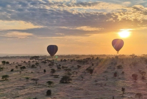 Serengeti: kuumailmapallosafari aamiaisella ja noudolla