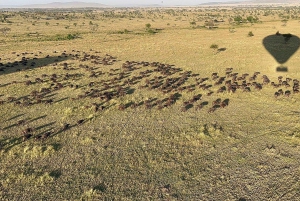 Serengeti: kuumailmapallosafari aamiaisella ja noudolla