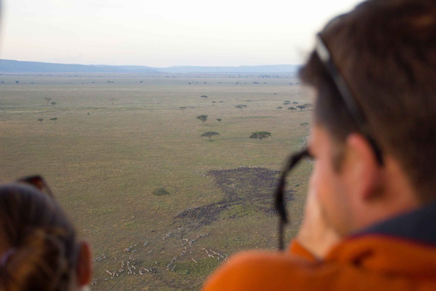 Serengeti National Park: Ballonsafari ved daggry