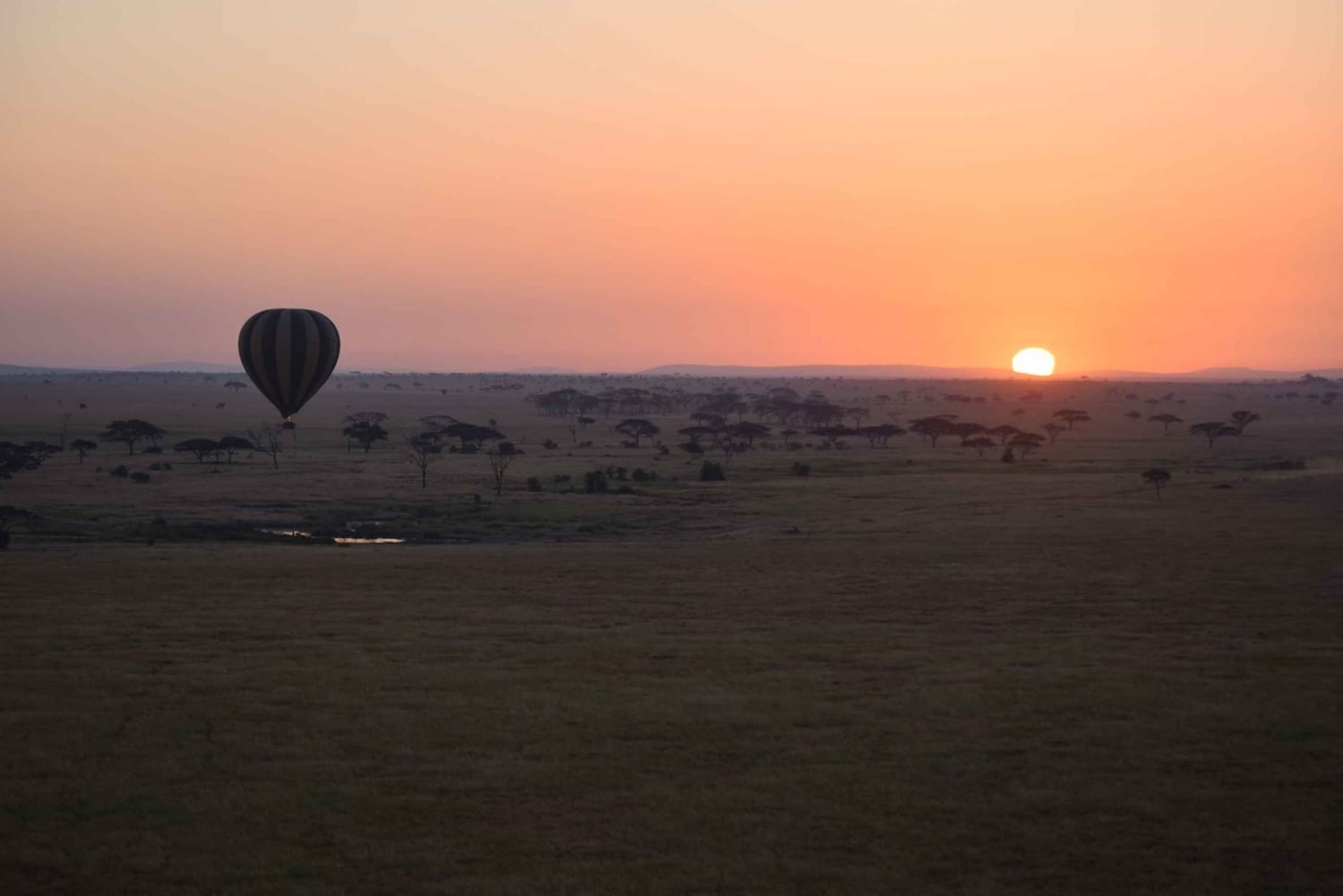 Serengeti National Park: Ballonsafari ved daggry