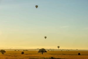 Serengeti National Park: Balloon Safari at Dawn